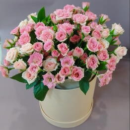 Fiori Silvestri