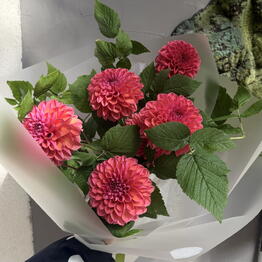 Flowershop.73