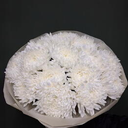 VIP FLOWERS CLUB