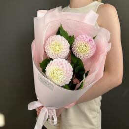 IFLORA x Flowers