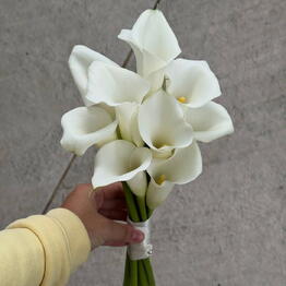 Premium Flowers