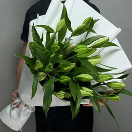 ArtFlora