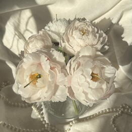 Safonova Home Decor