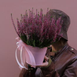 Flowers to bee