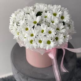 Flower_of_life_kanash