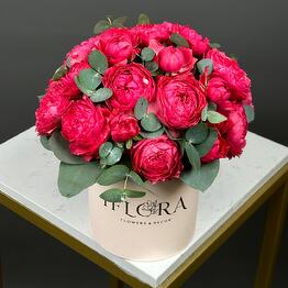 IFLORA x Flowers