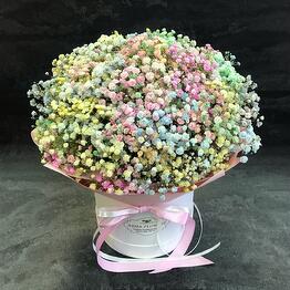 Arma Flowers 