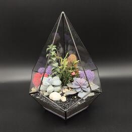 Succulenteria