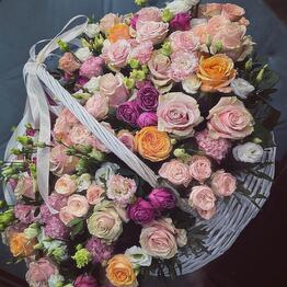 Pink Flowers 