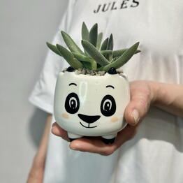 Jules Flower Atelier