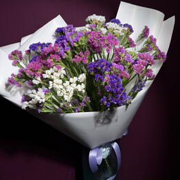48LAVANDA