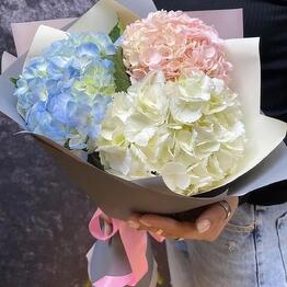 MOSFlovers