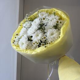 Мамина грядка
