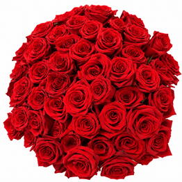 Ni_s_flowers