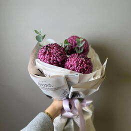 Florissimo