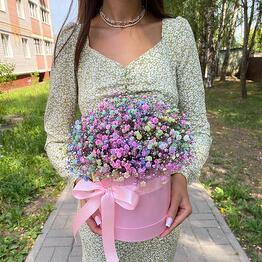 Royal Roses