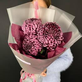 Pronto Flowers