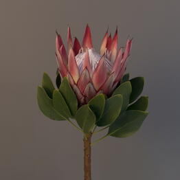 Glamely flowers