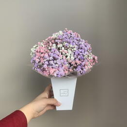 Нимфея Flowers