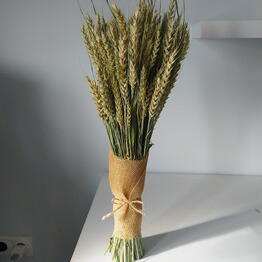 Natural’s vessels