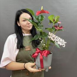 Lucky Flowers 