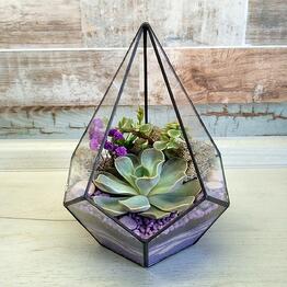 Флорариумы Magic in glass ✨