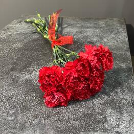 10 red carnations