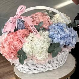 FLORAL DOSTYK