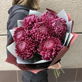 O’Fleurs