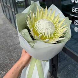 Flowers shop