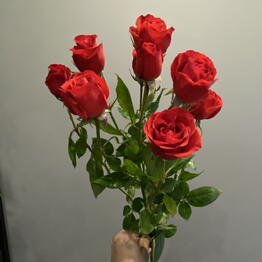 I FIORI
