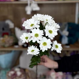 FlorSeason