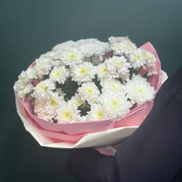Цвет🌸чный Альянс