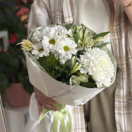 Ludizia