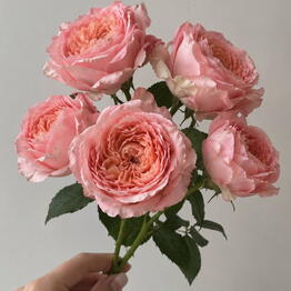 Flowers for Happiness
