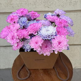 XOFLOWERS
