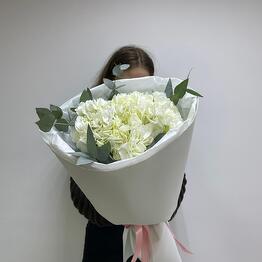 FLORA