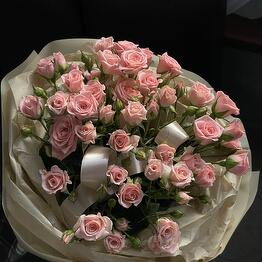 Bushy pale pink