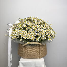 Symphony Flowers
