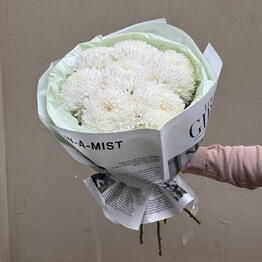 Tbilii_flowers