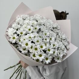 Цвет настроения