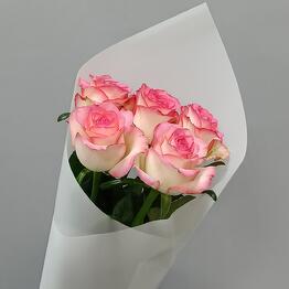 Maksi Flora