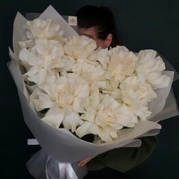 Ilona Veris Florist 
