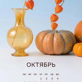 Neoshop regress
