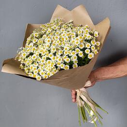 FlowersAmely|FlowersAmely