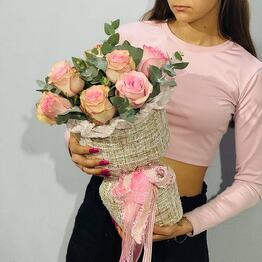 Sharik__LUX