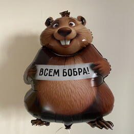 Vishe! Vozdushnye shary