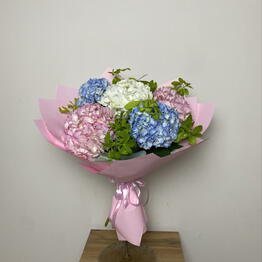 Provence Flowers