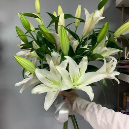 Flowers - Life