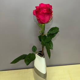 Maki flora